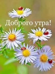 IMG 20190221 587421