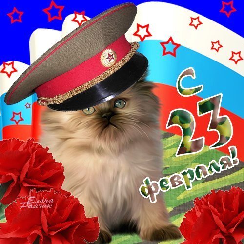 23 февраля (2)