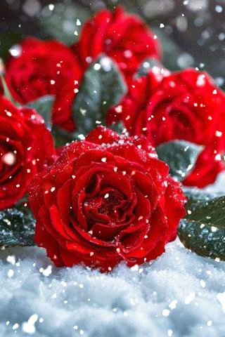 file_98842776