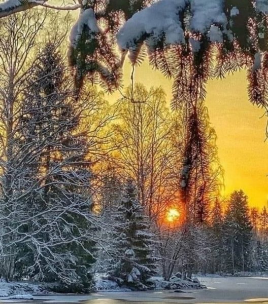 file_92527752