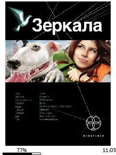 Д.Колодан-Зеркала 1. Маскарад