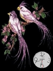 Anibird