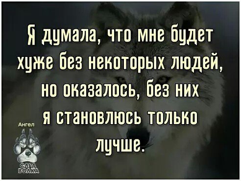 Волк
