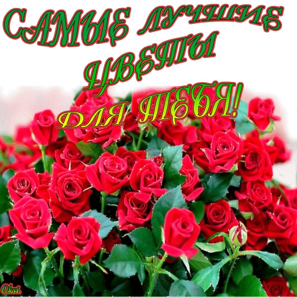 samye luchshie tsvety dlya tebya