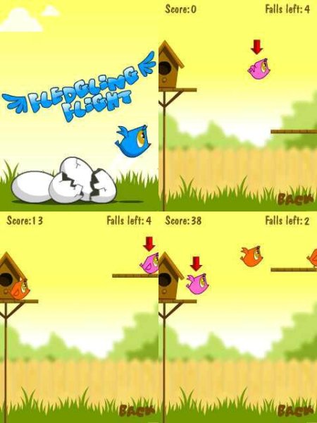 Fledgling Flight 240x400 Asha305