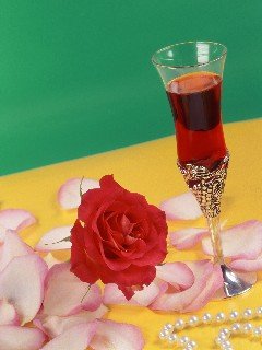 card13 240x320