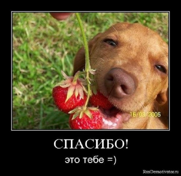 Это тебе