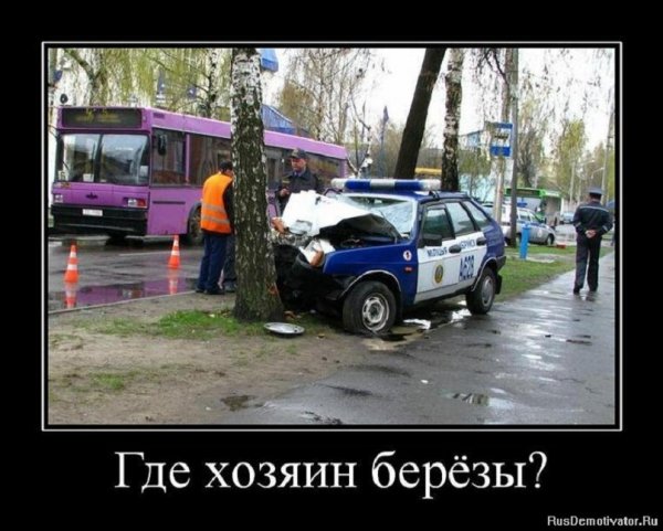 Где хозяин берёзы?