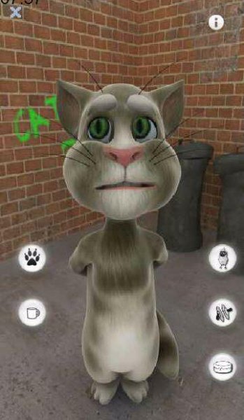 Talking Tom Cat