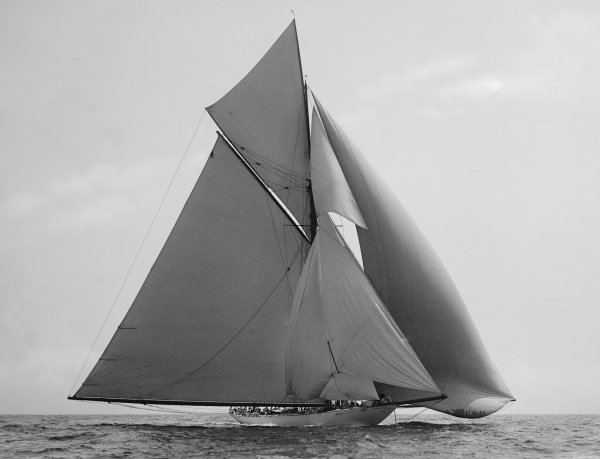 IMG viter59 Vigilant 1895