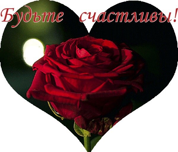 DSebDH7gPlk