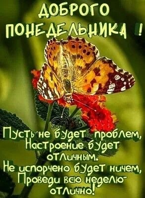file_90471579