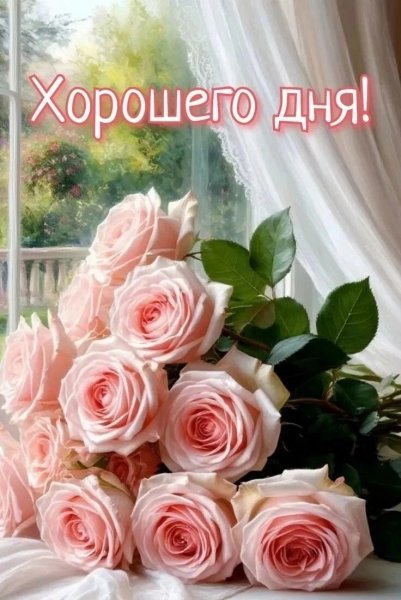 IMG 20260508 135851