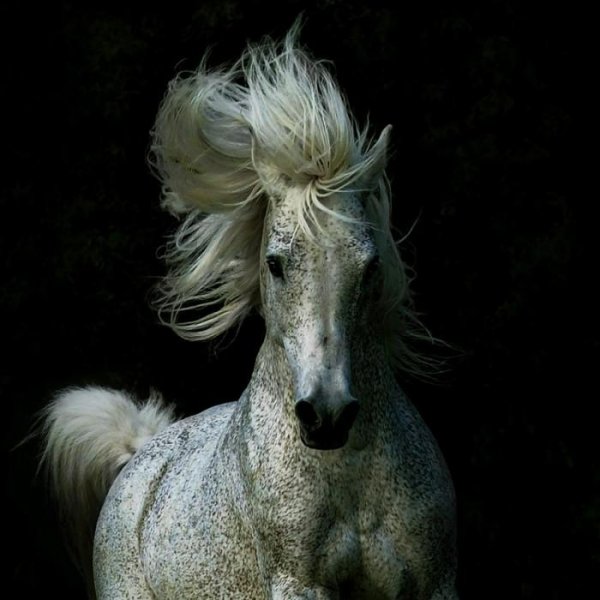 Hors 5