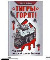 М.Кэйдин-Тигры горят bid168172 original.