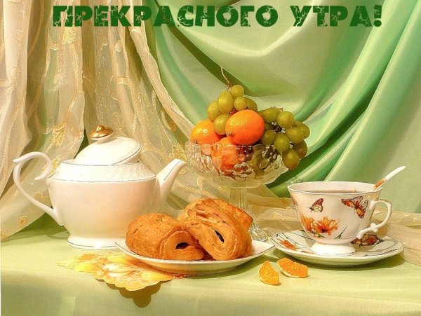 IMG 20181205 359198