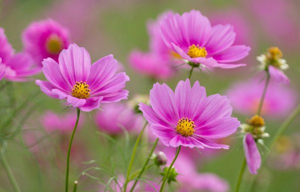 IMG 20231120 111032
