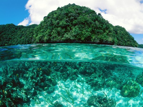 Limestone Island Palau-1000-a542d8629a-1484581121