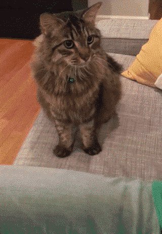 Один За Всех И Все За Одного!