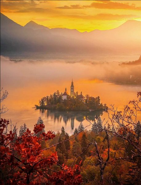 Screenshot 2021-09-10-17-11-31