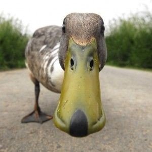 67d273764e3c16e36dbfcb4e5399231a