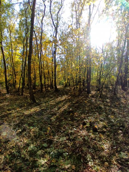 IMG 20231022 113725 797