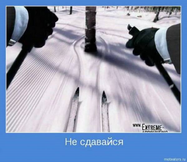 Не сдавайся