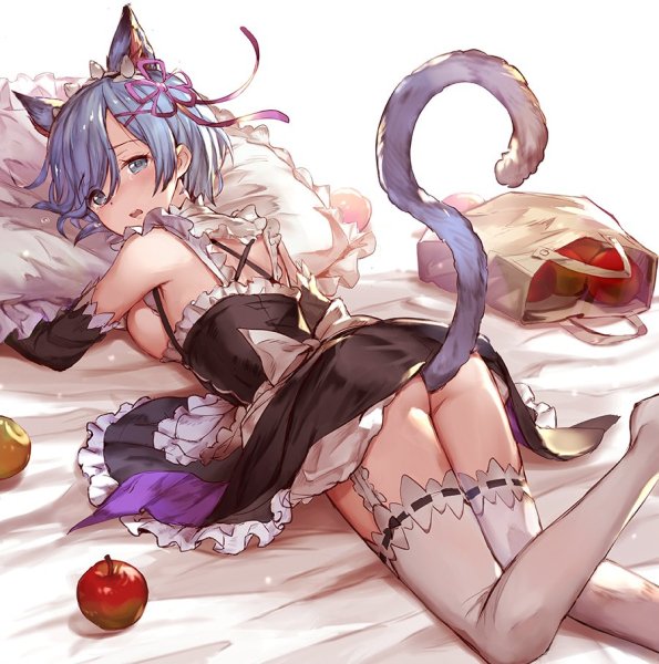 ReZero Rem 001