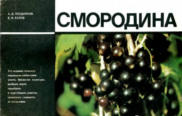 Смородина - 1983