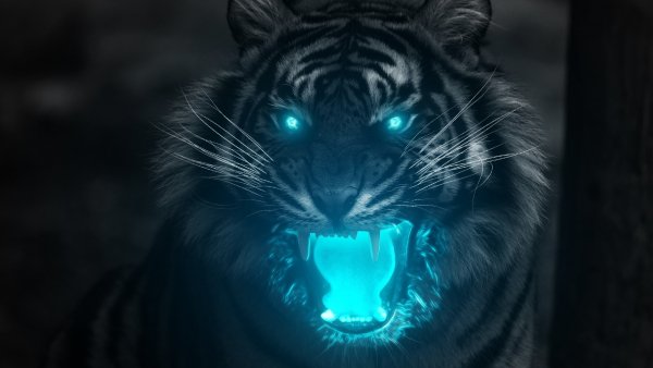 nastol.com.ua-162695