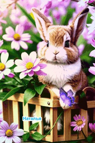 file_96852292