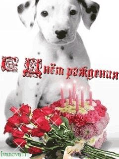 С днём Рождения