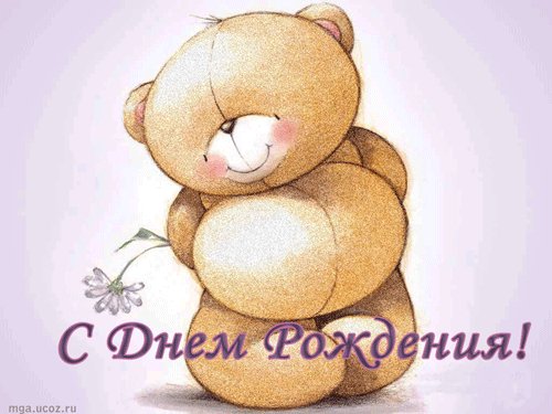 Teddy-Bear