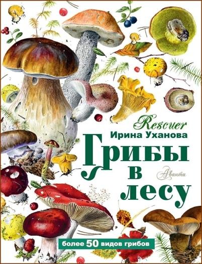 Грибы в лесу