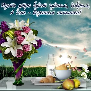 IMG 20190205 297321