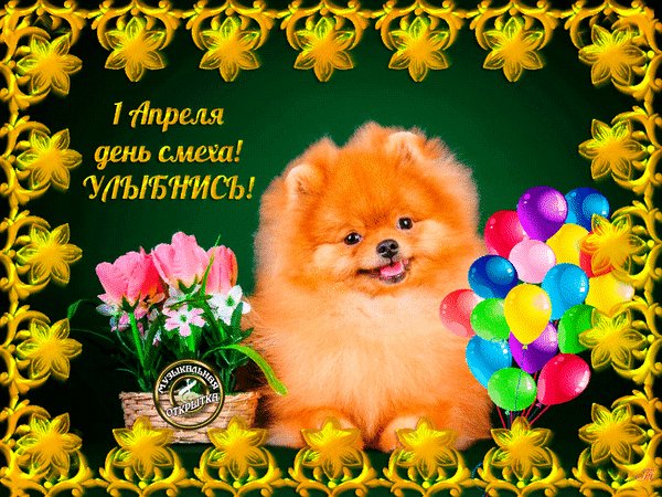 Анимированная открытка день смеха улыбнись