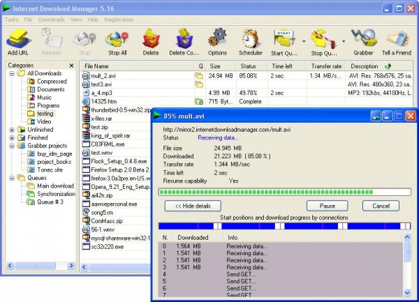 Internet Download Manager 6.07crack