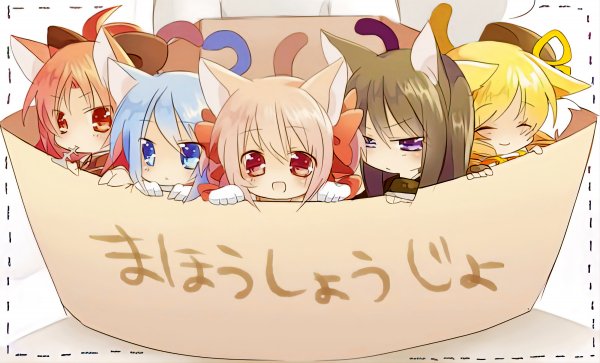 file_86078005