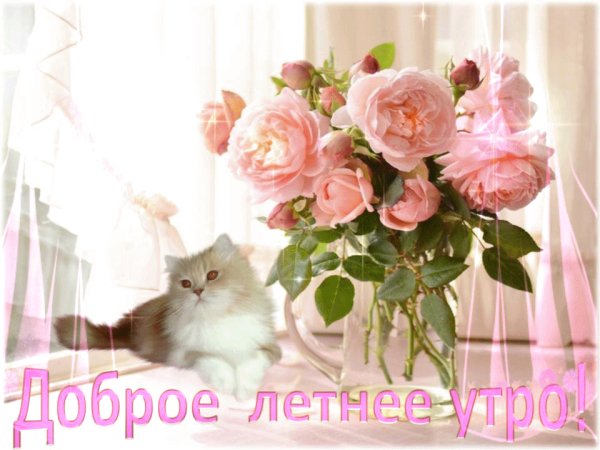 file_78115995