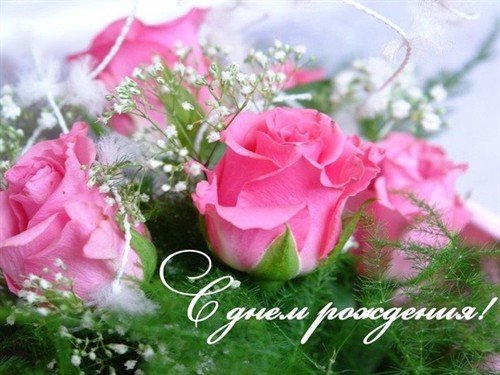 file_81228188