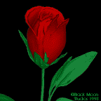 file_374487