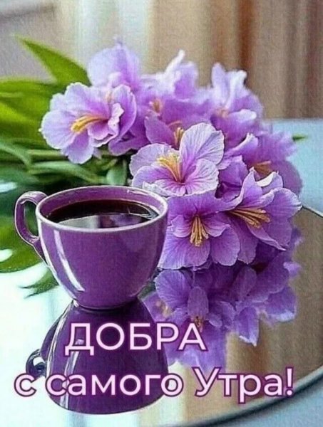 IMG 20260423 205138