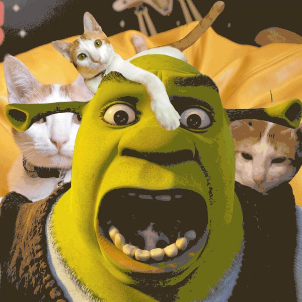 Three cats