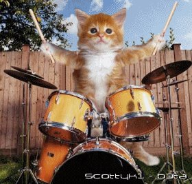 c14f84ee32194523e5031c8fb48db i-10872