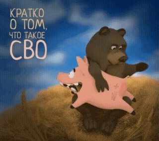 Что такое СВО