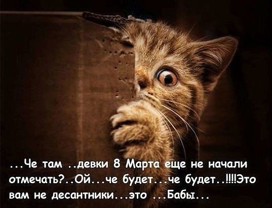 Преддверие 8 марта