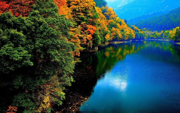 Осенняя природа