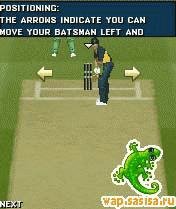 EA Cricket 2011