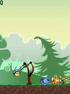 Голодные коты