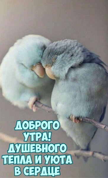 file_90262989